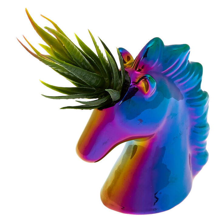 Rainbow Anodized Unicorn Succulent Plant,