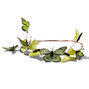 Green Butterfly Crown Headwrap,