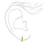 Titanium Anodiozed 10MM Huggie Hoop Earrings,