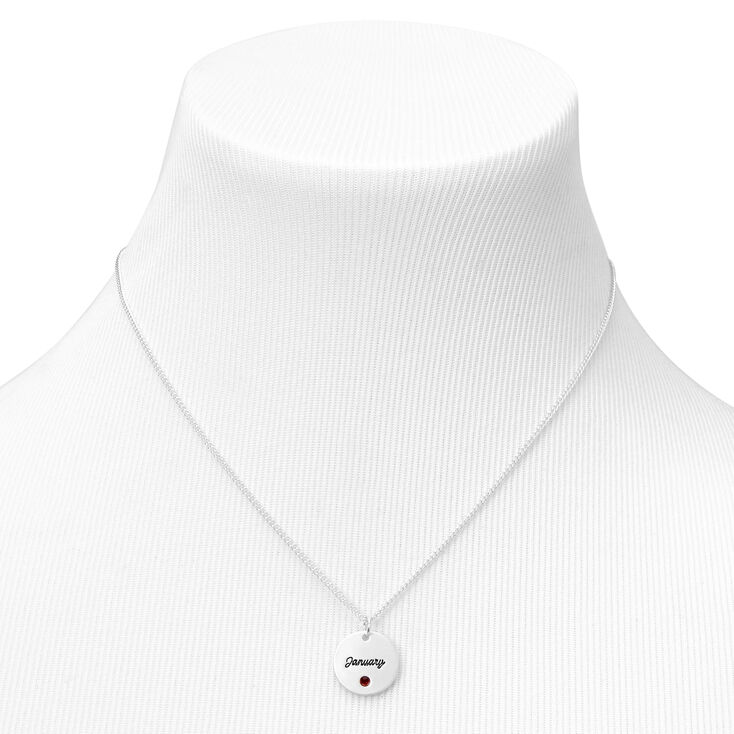 Silver Birthstone Color Tag Pendant Necklace - January,