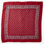 Floral Paisley Silky Bandana Headwrap - Burgundy,