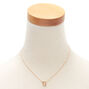 Gold Stone Initial Pendant Necklace - G,