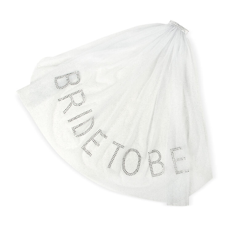 Silver Studded Bride to Be Veil with Glitter,