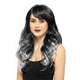 Black & Gray Long Length Wig,
