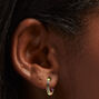 Titanium 12MM Rainbow Anodized Crystal Hoop Earrings,