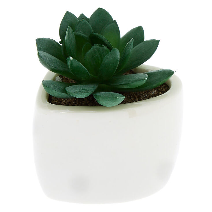 Faux Succulent Heart Plant - White,