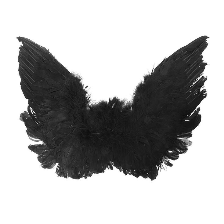 Feather Wings Black Icing Us