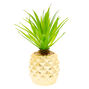 Pineapple Succulent Plant - Gold,