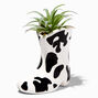 Cow Spots Cowboy Boot Planter With Faux Succulent,