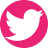 Pink background with white Twitter icon